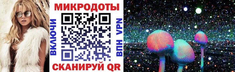 мега как зайти  Майкоп  Галлюциногенные грибы Psilocybe 