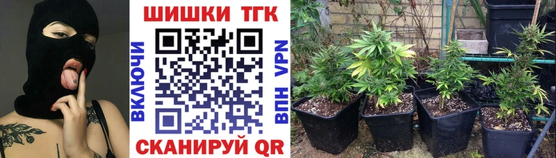 Бошки марихуана планчик  mega ТОР  Майкоп 